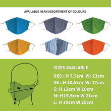 Load image into Gallery viewer, Reusable Face Mask